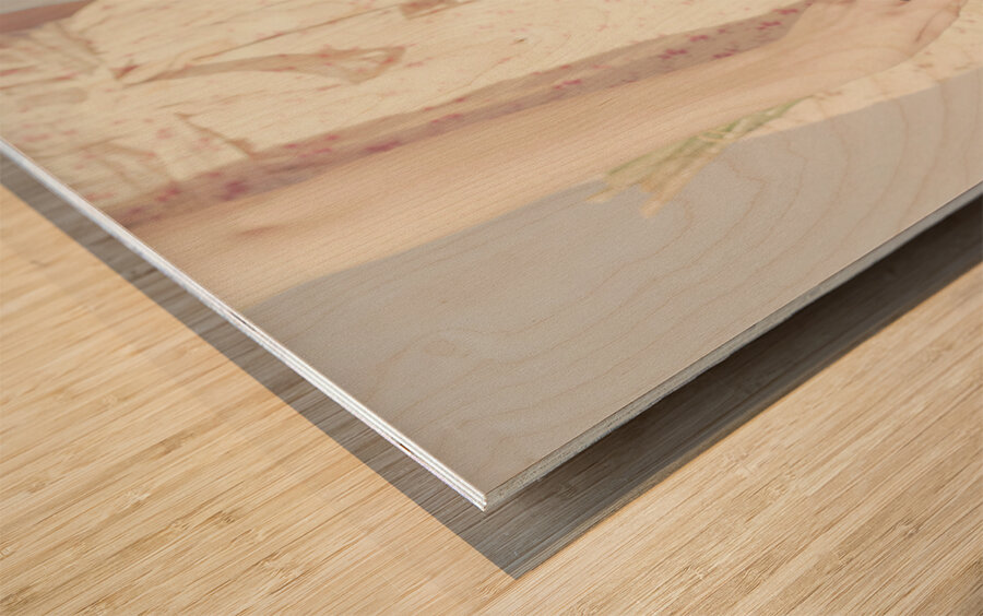 Pastel Romances Wood print