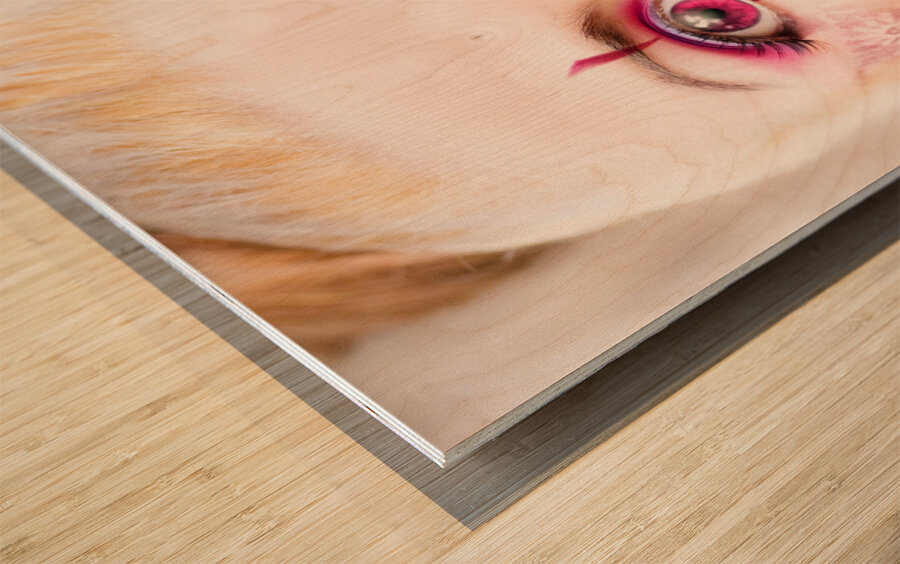 Surprised doll face Wood print