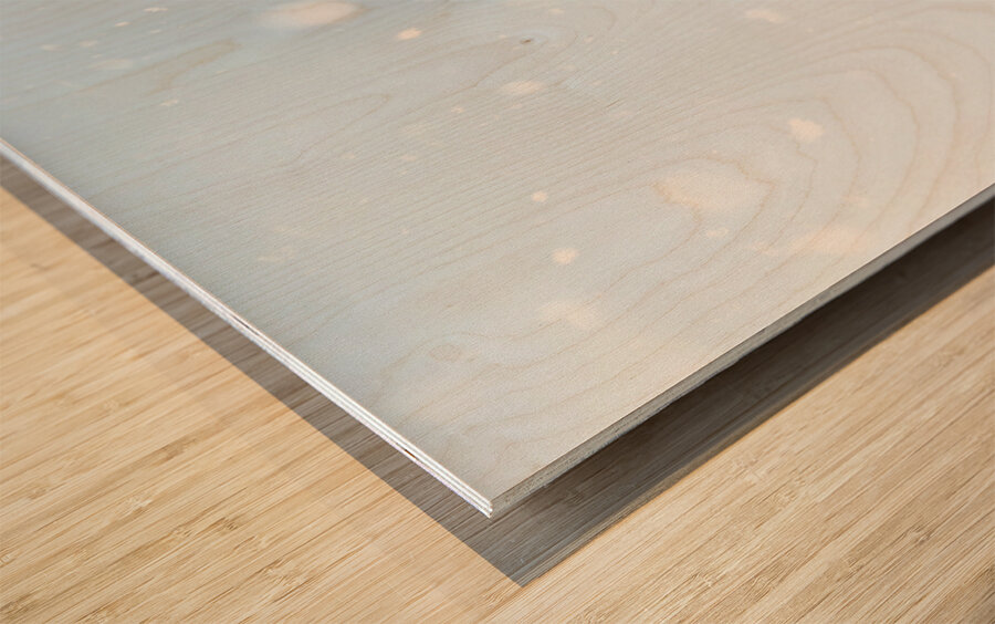 Beautiful brunette woman freezing in outdoor forest Wood print