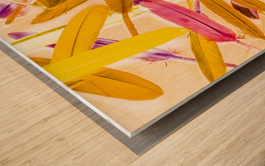 Palletry Plumes Wood print