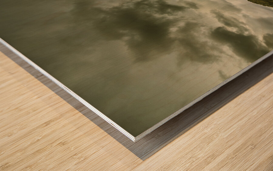 Storm covered winter farmland Wood print