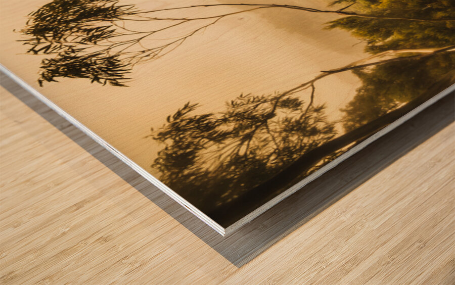 Land before time Wood print