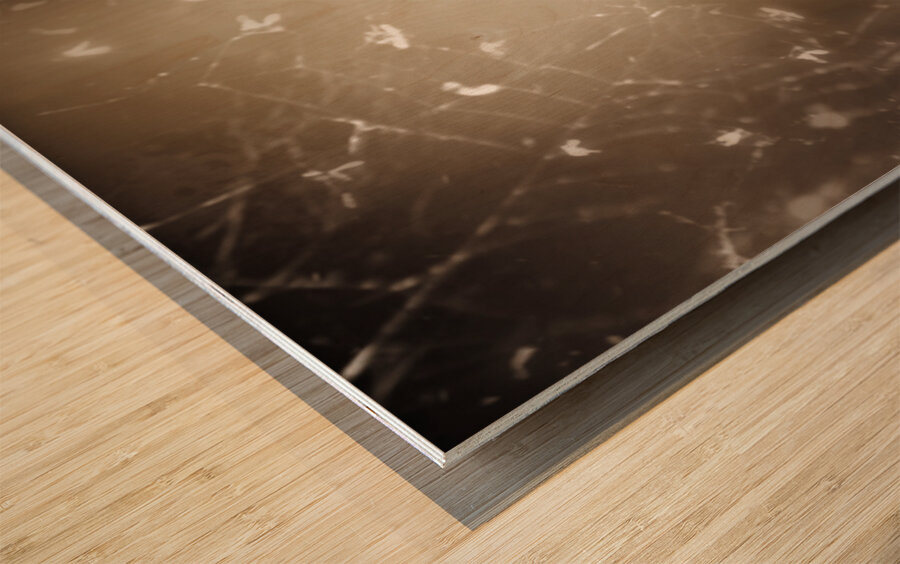 Dark portrait of a demon woman in haunted house Wood print