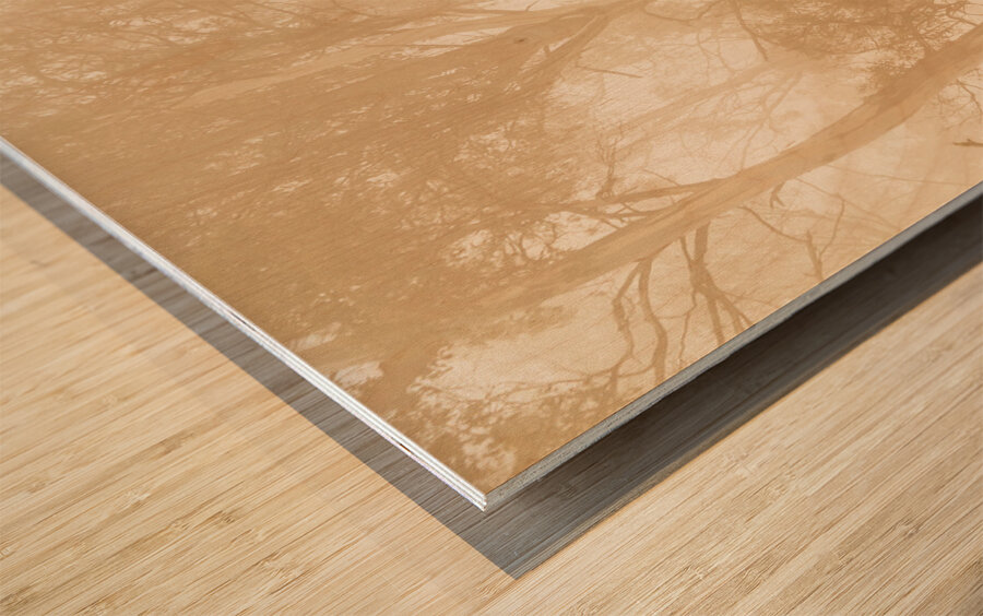 Misty woods Wood print