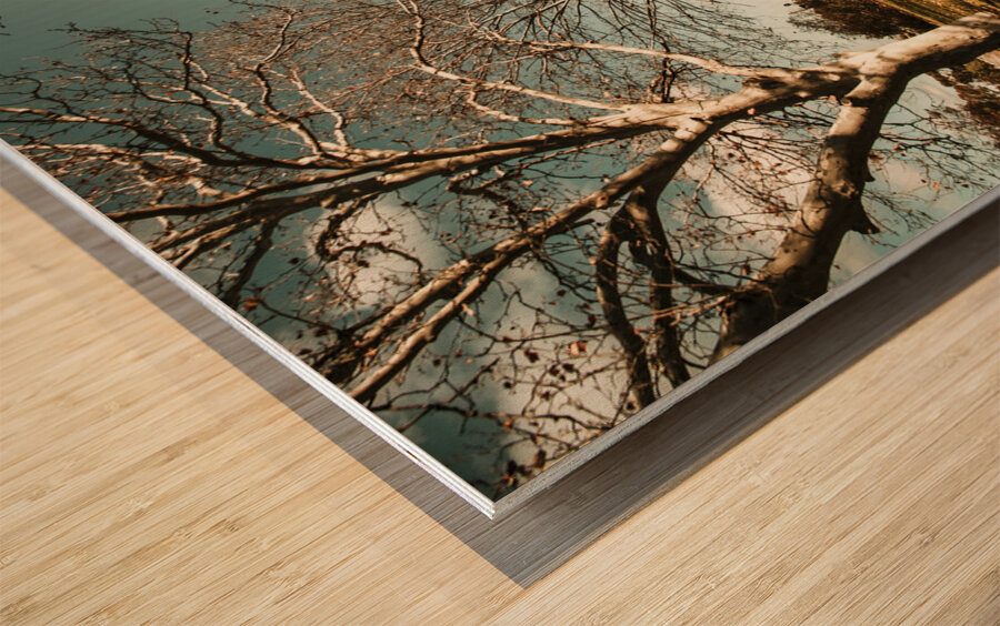 Entrance to Narrandera the Town of Trees Impression sur bois