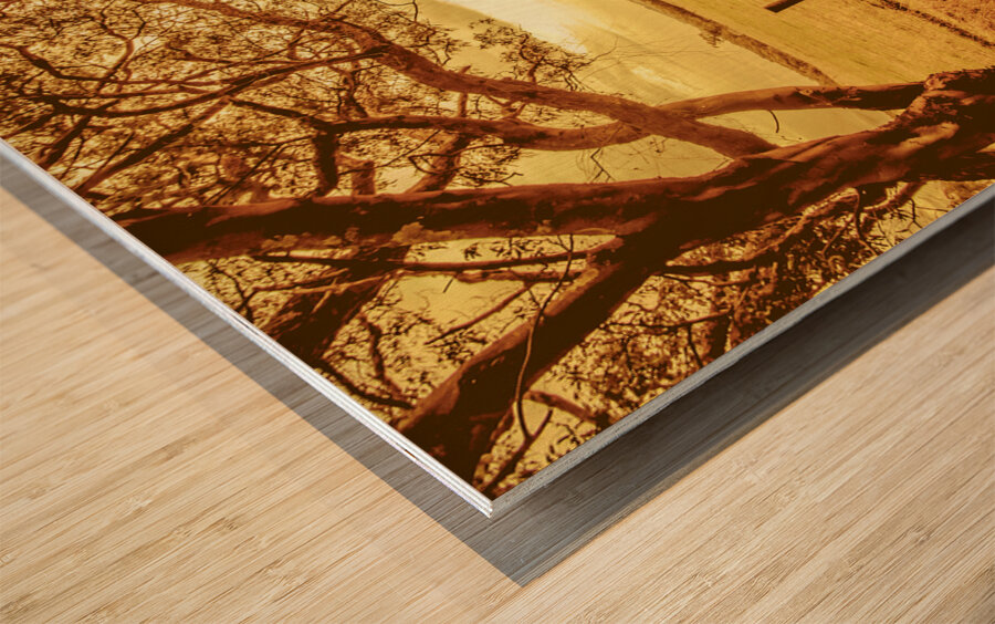 Autumn vista Wood print