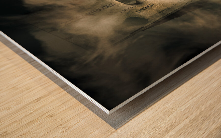 Brave army pinup Wood print