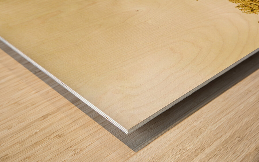 Wayback Beacon Wood print