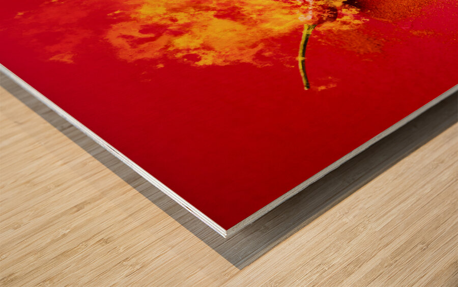 Forking hot food Wood print