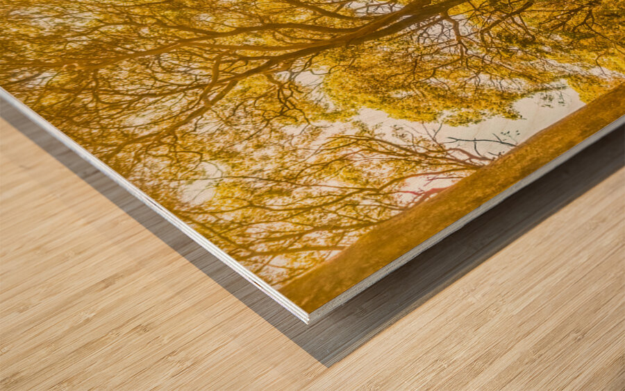 Waywoods  Wood print