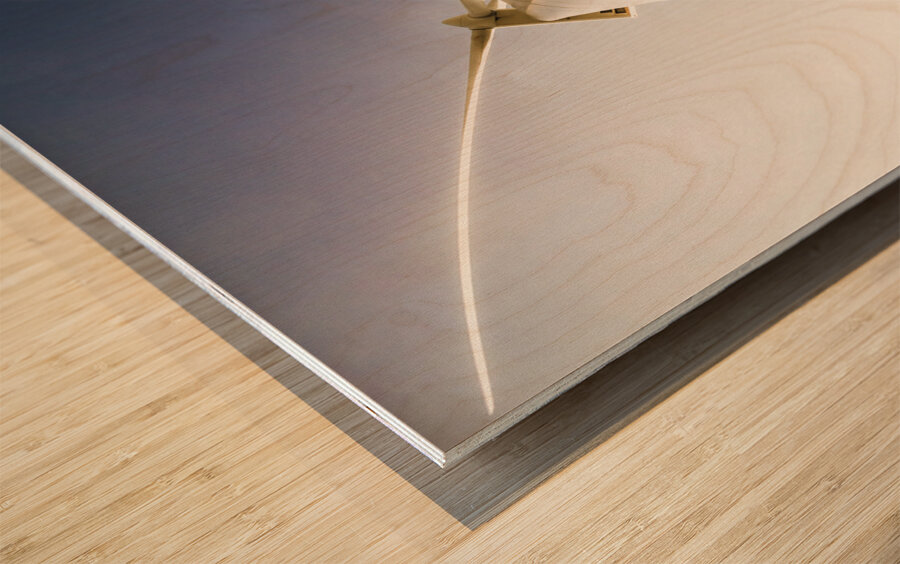 Alternative energy Wood print