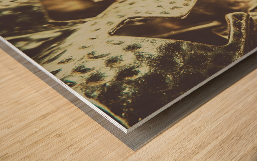 Spartan 300 Wood print