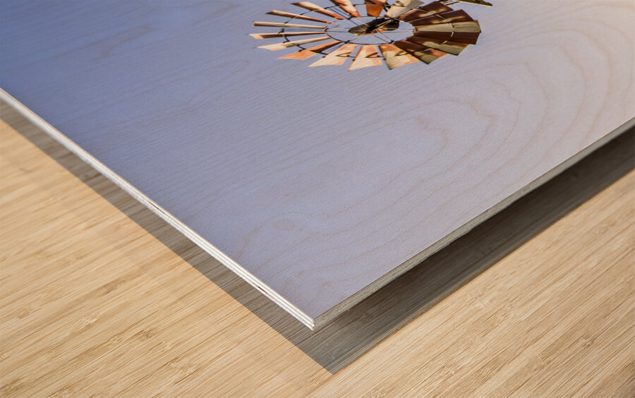 Outback Australian farm mill Wood print