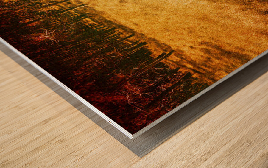 Boardwalk through vintage wetlands Wood print