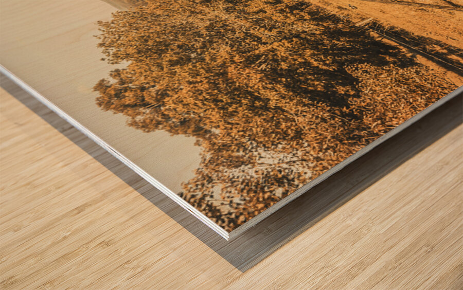 Farm fields of Eumundi Sunshine Coast Wood print