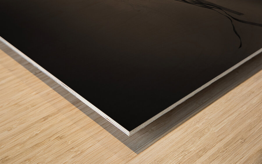 Dark beauty woman. Rich jewellery and Black Nails Wood print