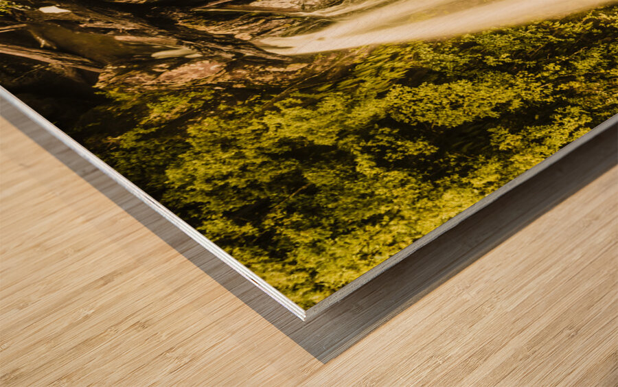 Spring falls Wood print