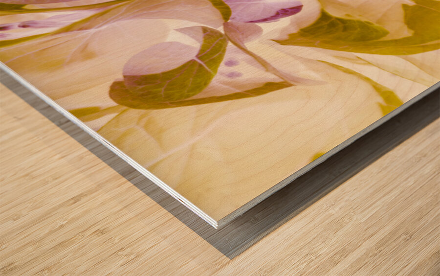 Pastel inverse Wood print