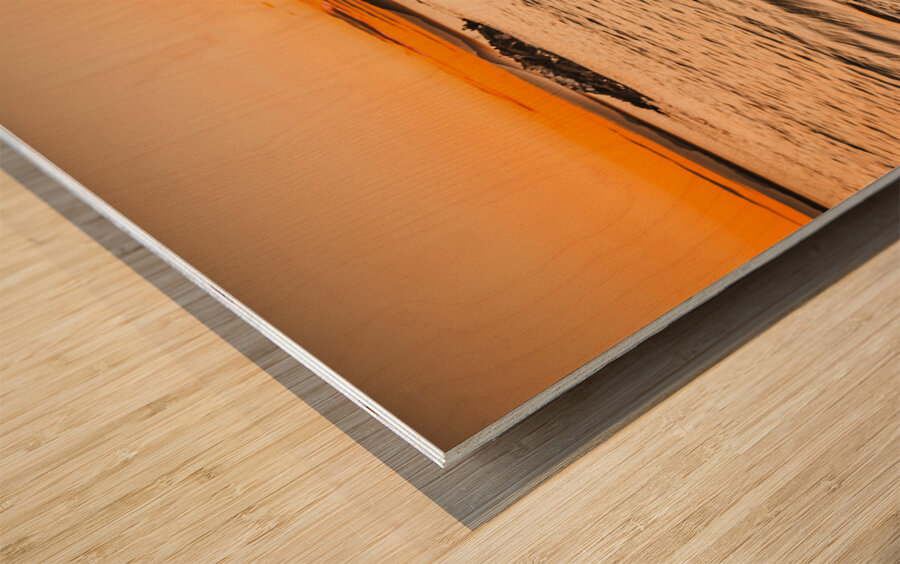 Morning Tide Wood print