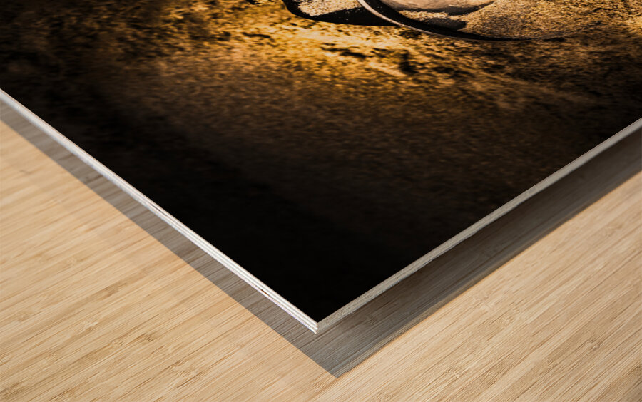 Apocalyptic terror Wood print