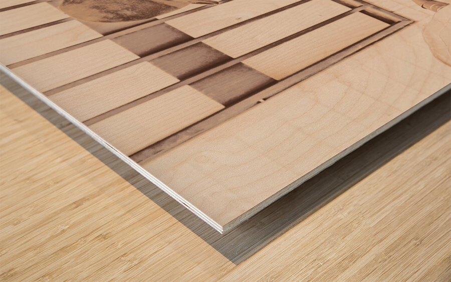 The phonograph in the back alley Wood print