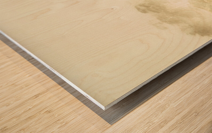 Rustic Tasmanian rural forest Wood print