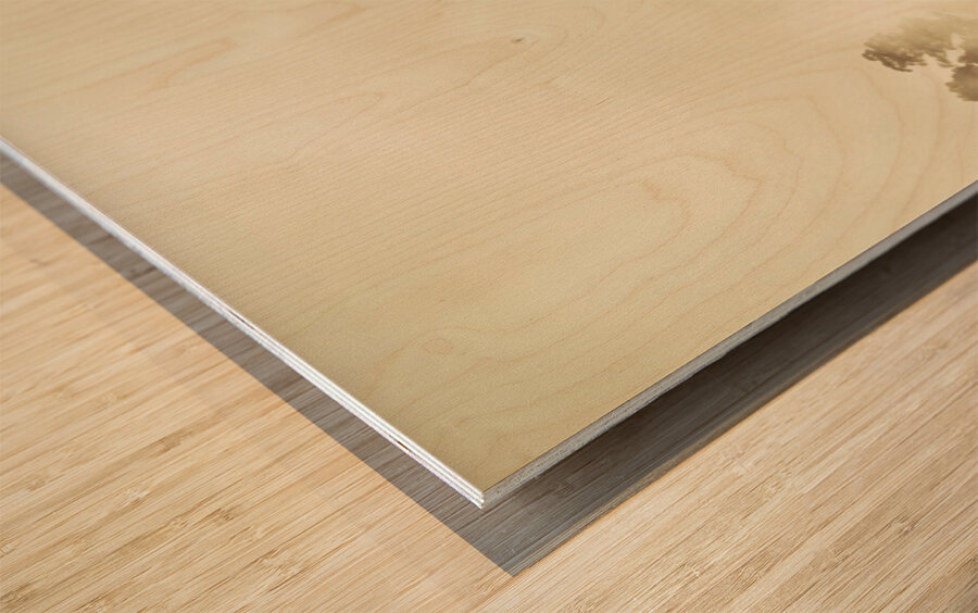 Hazy remote woodlands Wood print