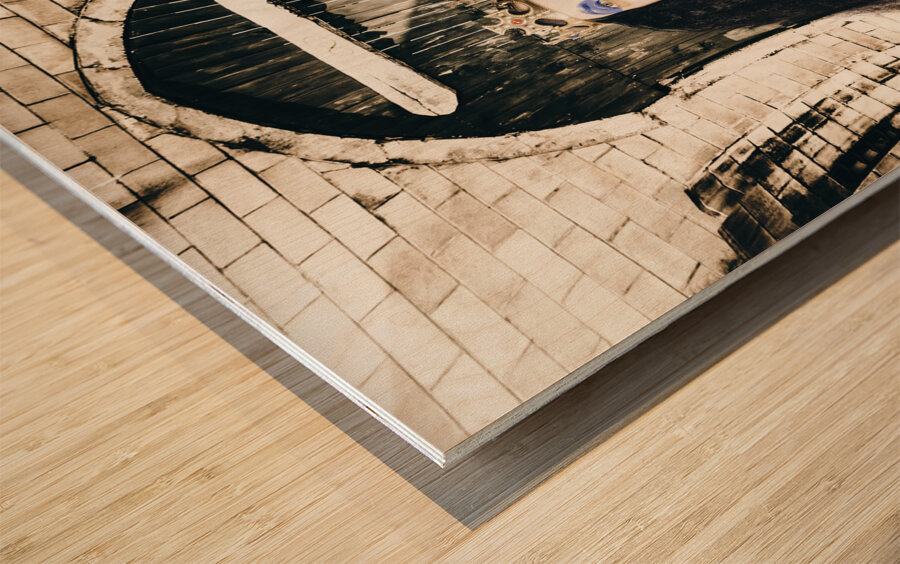 Fashion beauty princess sitting by castle door Wood print