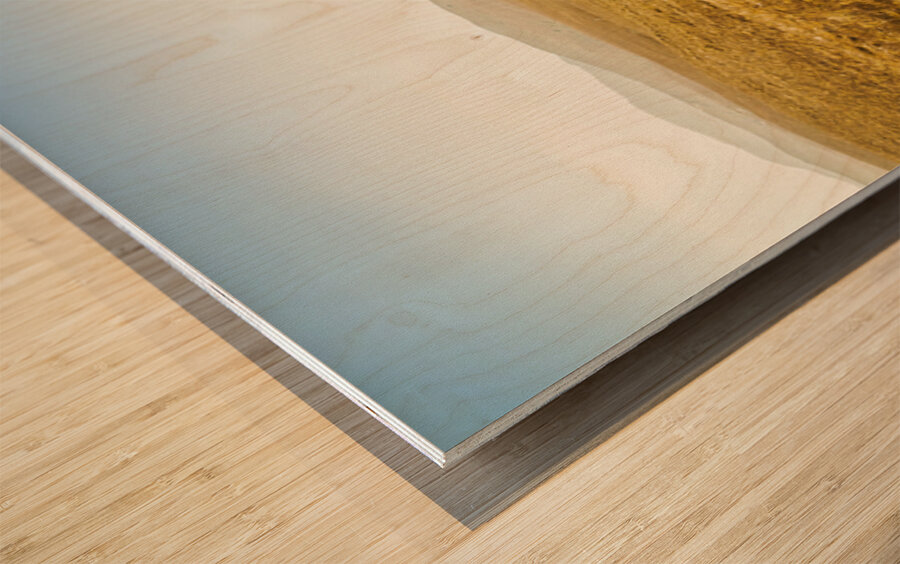 Plain plains Wood print