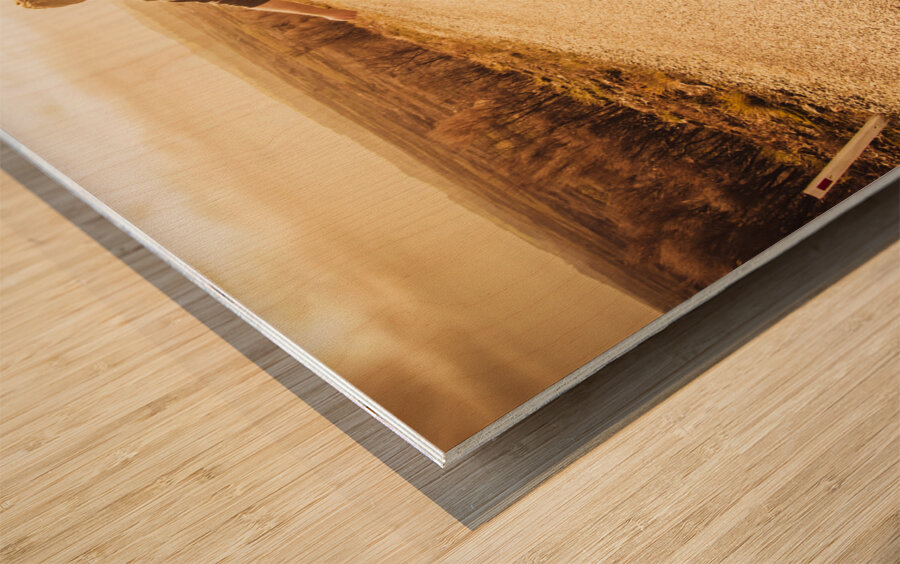 Facing fears while taking chances Wood print