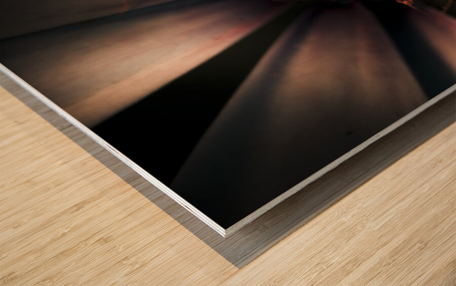 Spring Darkness Wood print