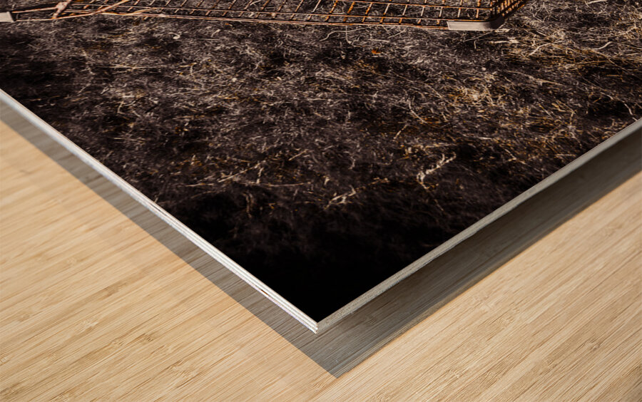 Coming to a store near you Wood print