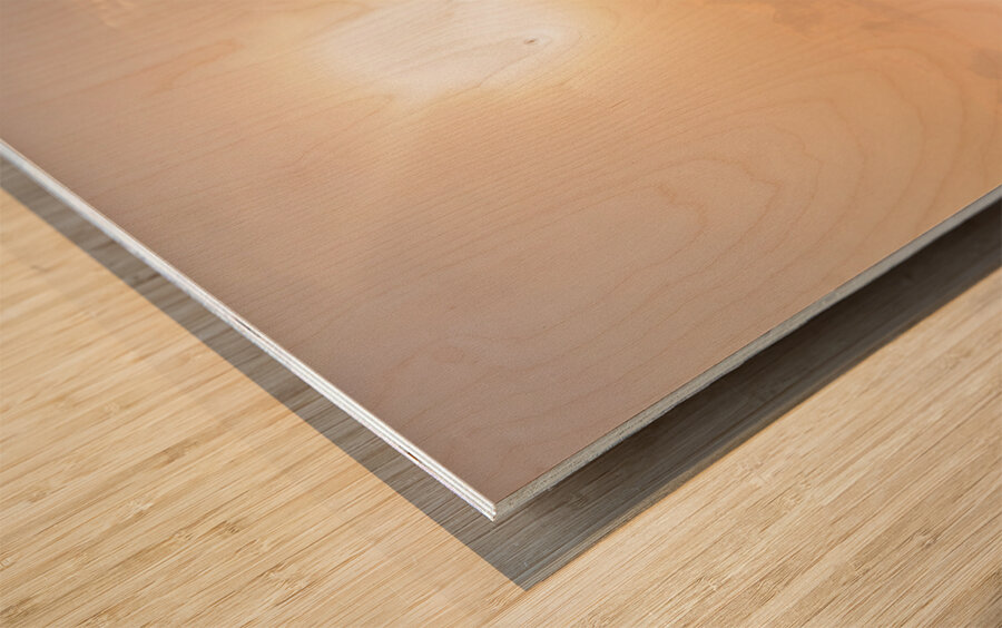 Pastel wash Wood print