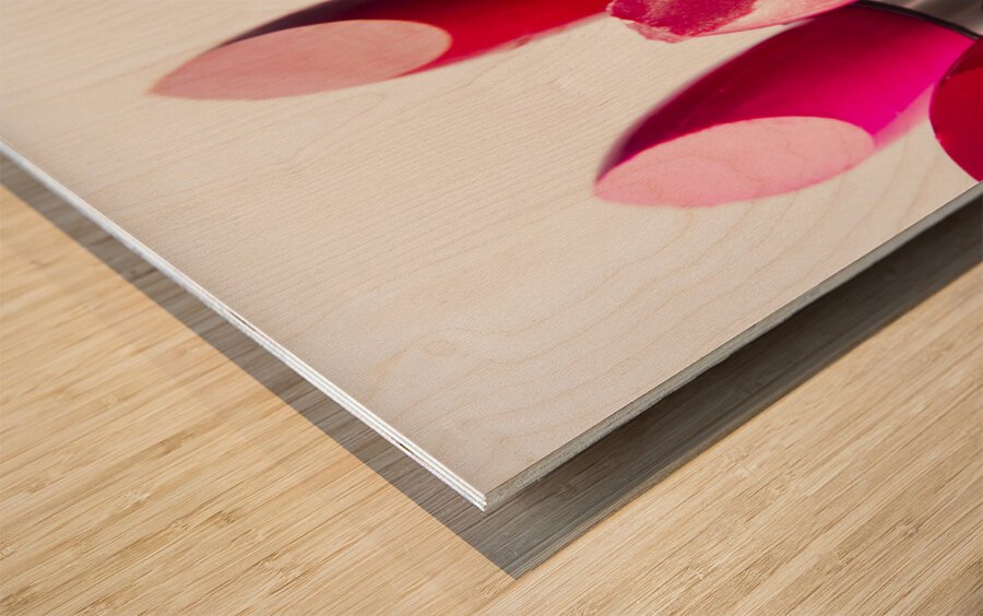 Colourful cosmetic still life Wood print