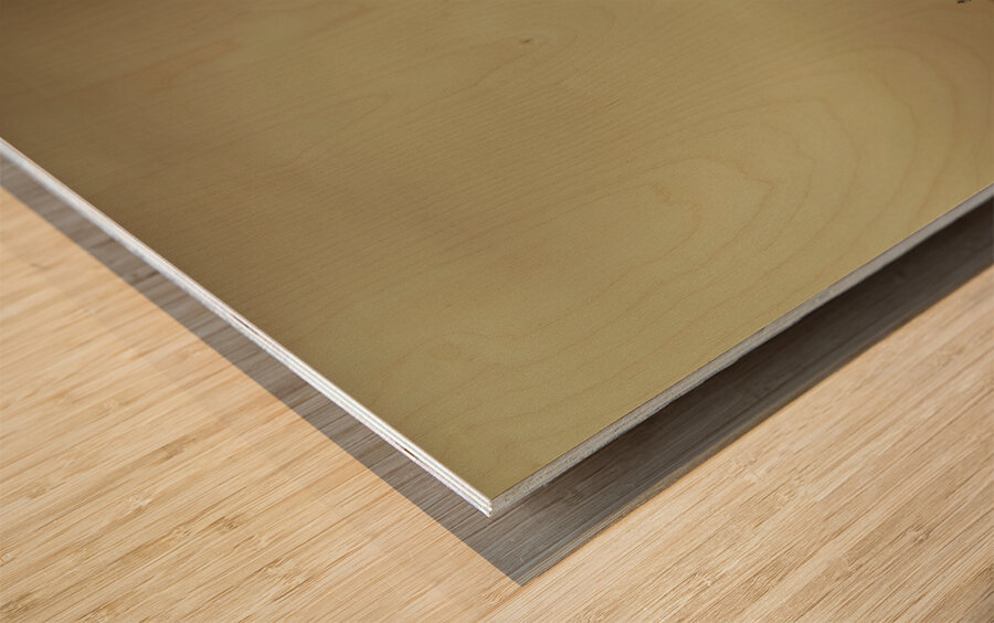 View of abandoned country road in foggy forest Wood print