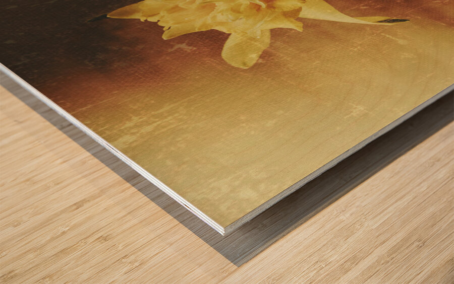 Vintage daffodil flower art Wood print