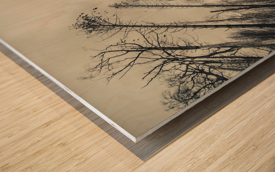 Haunting wood Wood print