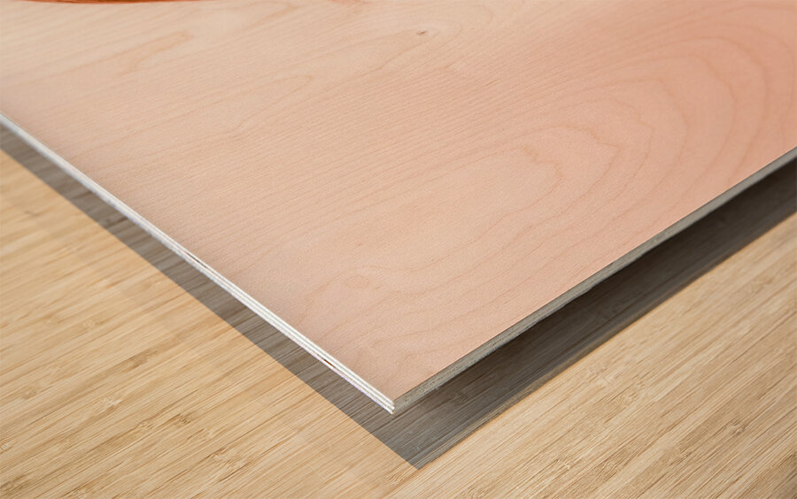 Surprised retro pop art girl wearing red lipstick Wood print