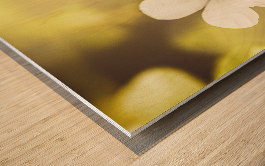 Pale wildflowers Wood print