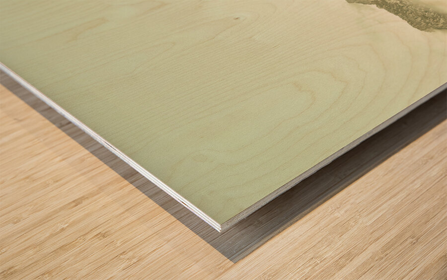 Majestic misty mountains Wood print