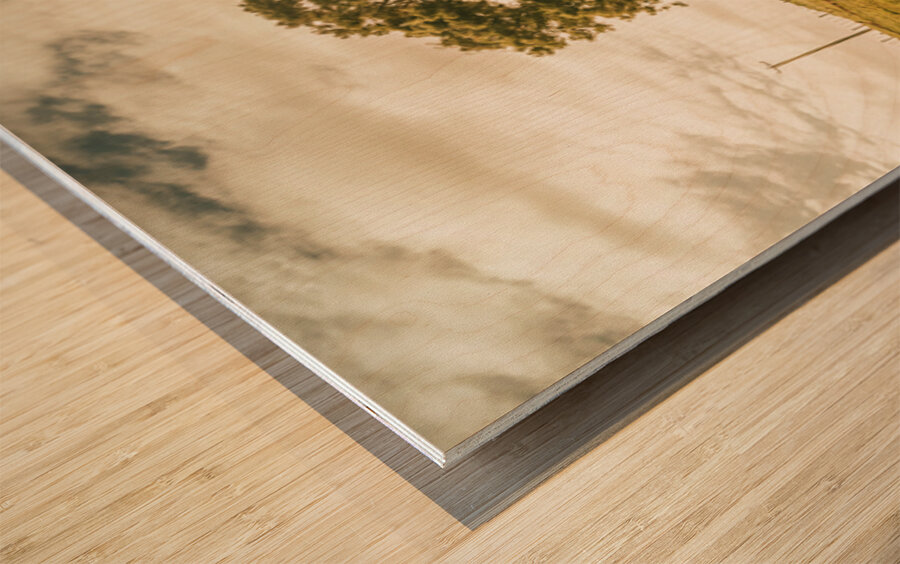 Camena Tasmania country panorama Wood print