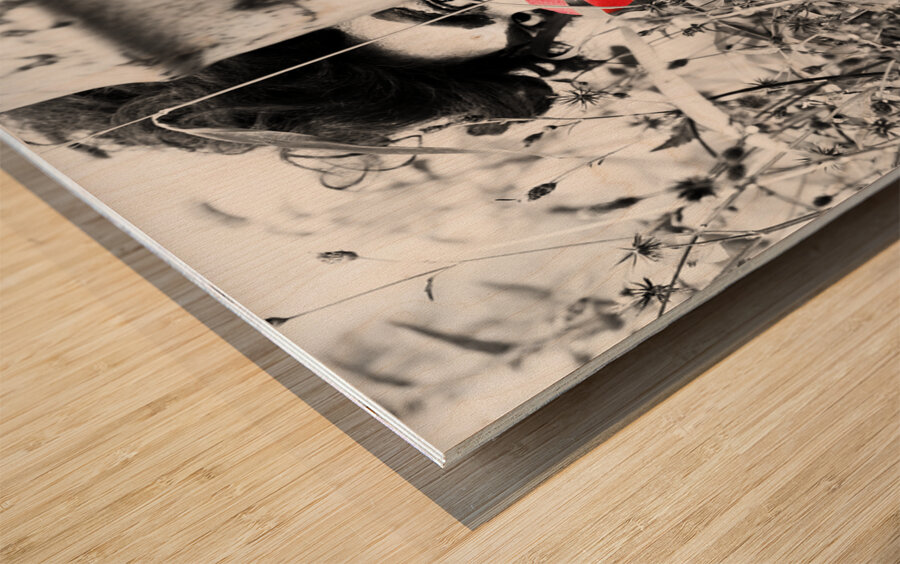 Sneaky The Clown Wood print