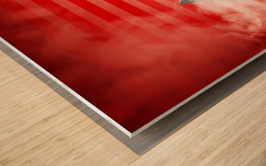 Pin up housekeeping maid Wood print