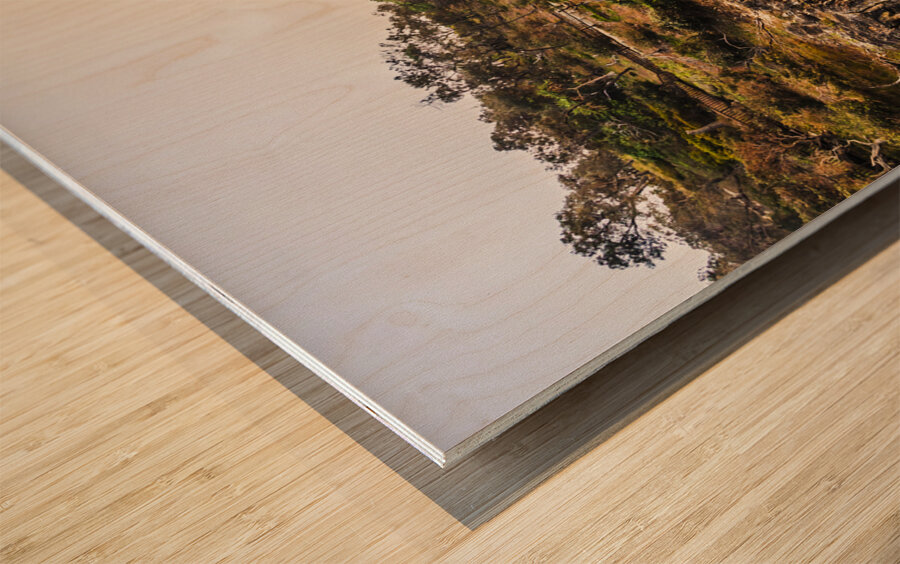 Seas of high dynamic range Wood print