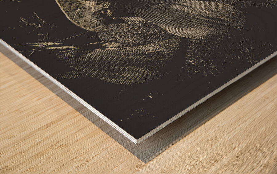 Setting the stage Wood print