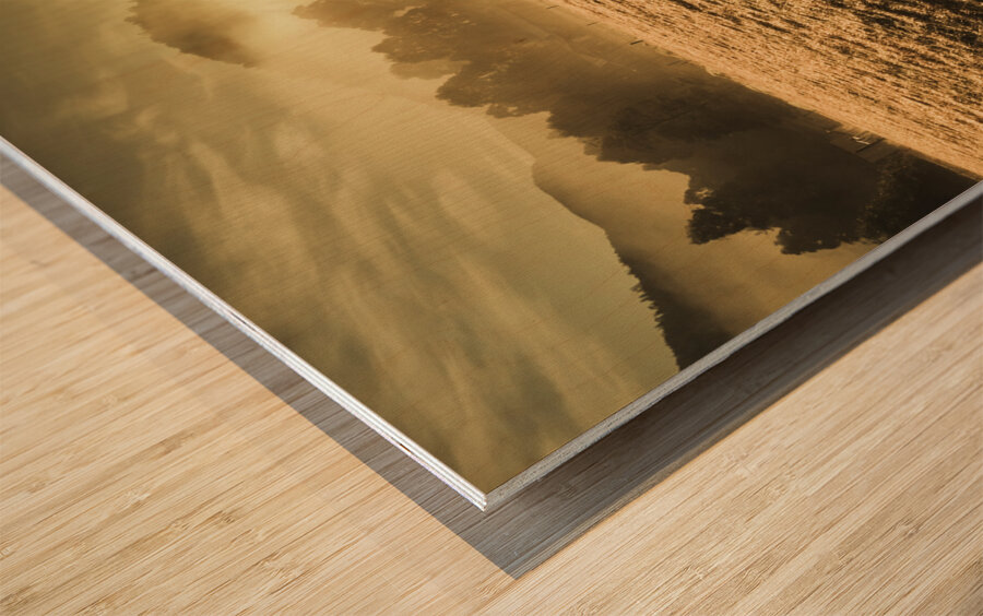 Enigmatic grassland Wood print