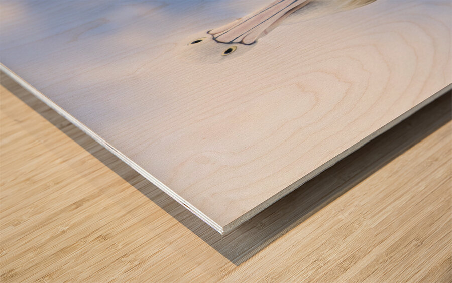 Peace And Balance Wood print