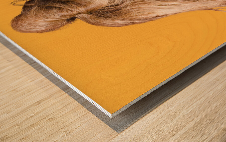 A motion of colours Wood print