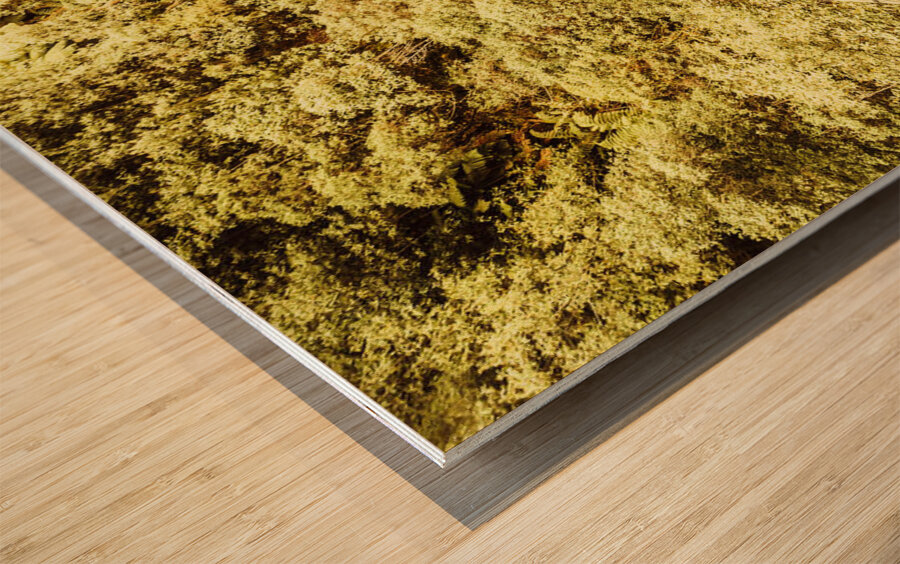 Adventure high Wood print