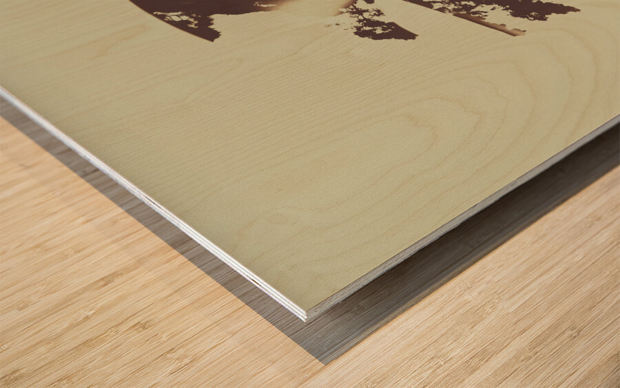 The spirit within Wood print